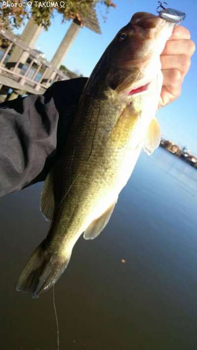 �֥�å��Х�