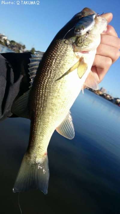 �֥�å��Х�