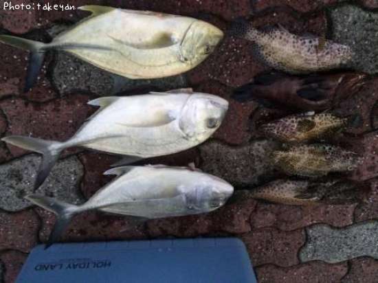 �����˥󥢥������˥ҥ饢�����ͤФ�