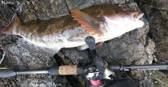 �����ʥ�