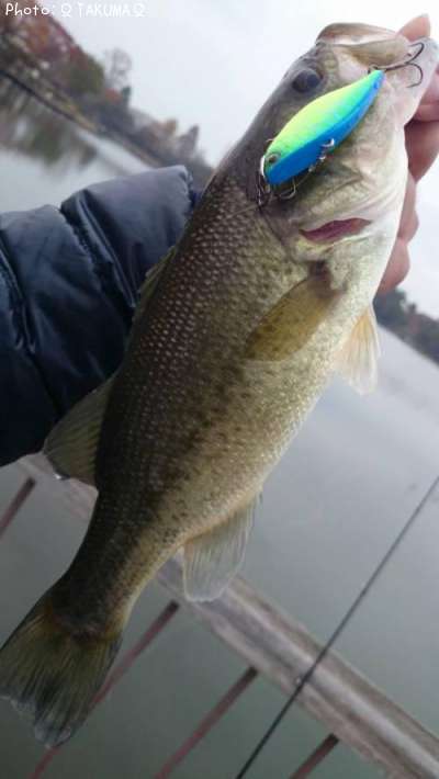 �֥�å��Х�