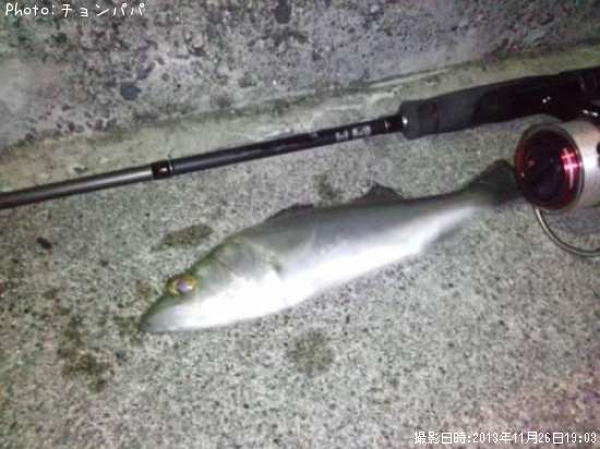 �����Х����ߥ�