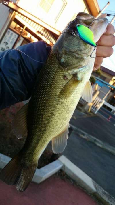 �֥�å��Х�