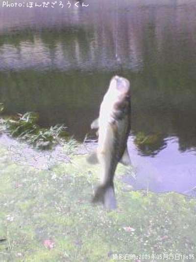 �֥�å��Х�