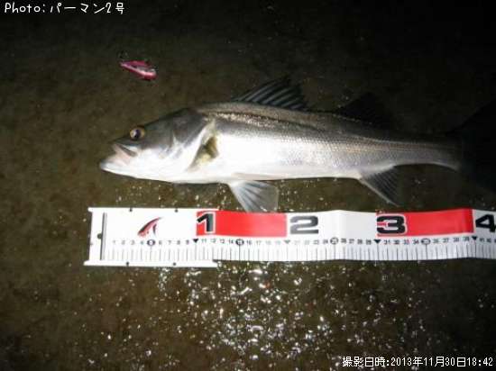 �����Х�