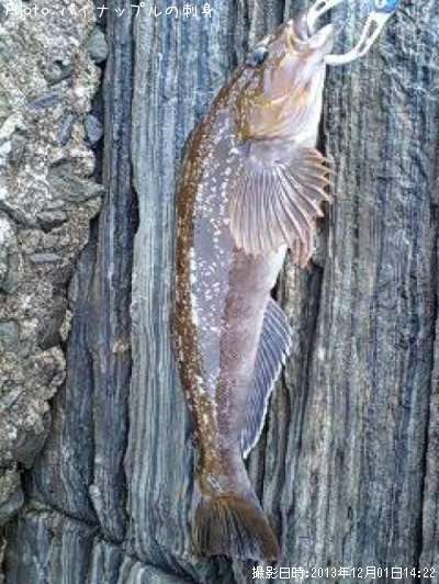 �����ʥ�