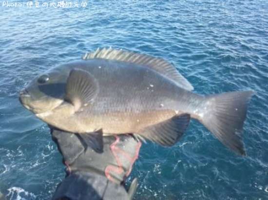 �����᥸��