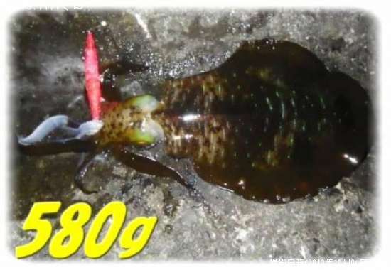 �����ꥤ��