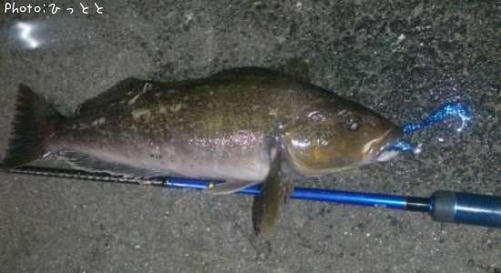 �����ʥ�