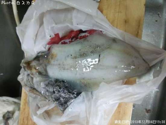 �����ꥤ��