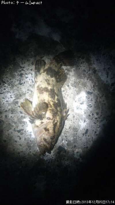 �����Υ���Х�