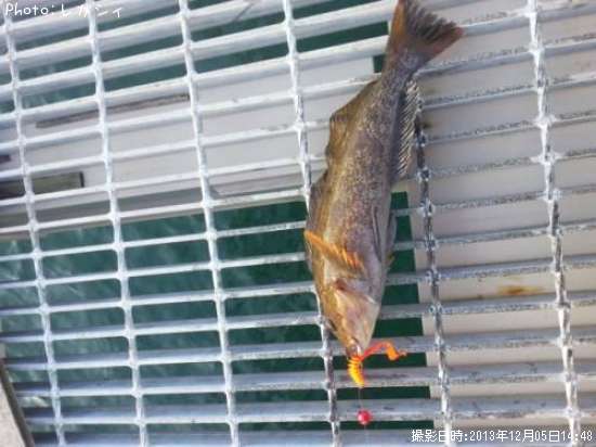 �����ʥ�