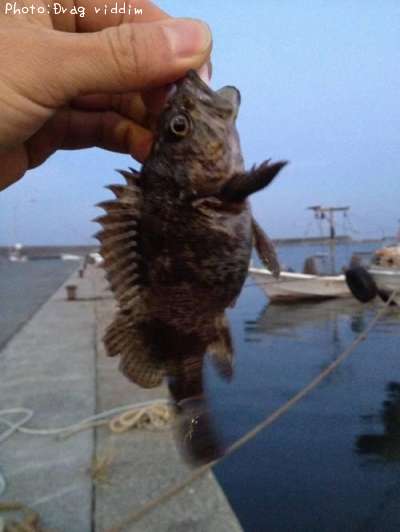 �����Υ���Х�