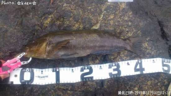 �����ʥ�