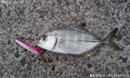 ���󥬥ᥢ��