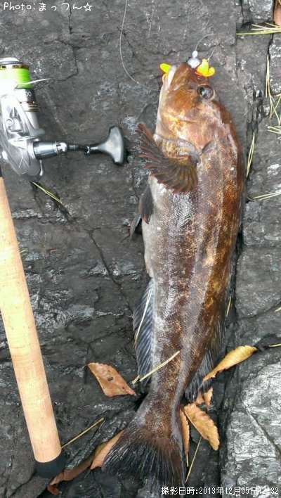 �����ʥ�