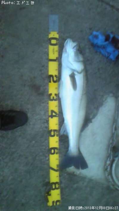 �����Х�