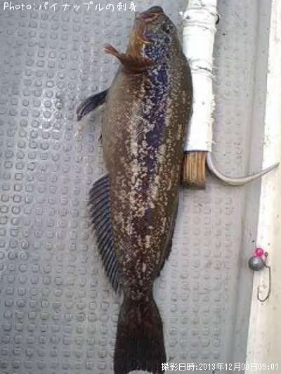 �����ʥ�