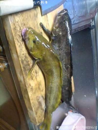 �����ʥ�