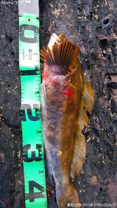 �����ʥ�