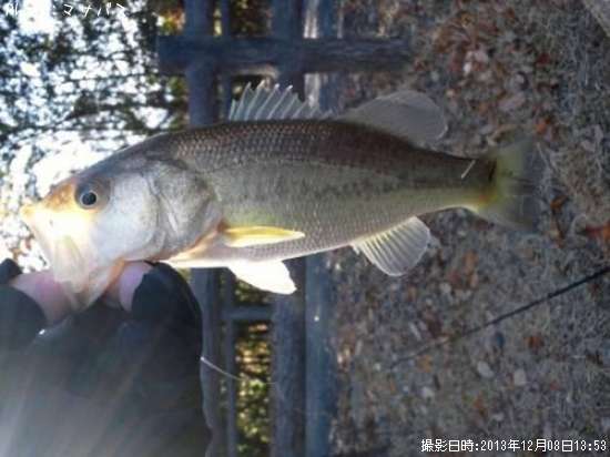 �֥�å��Х�