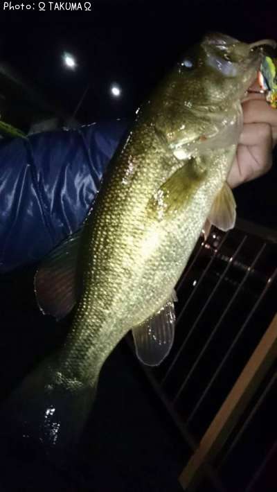 �֥�å��Х�