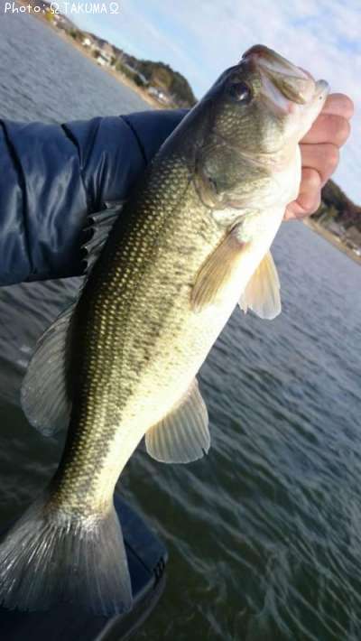 �֥�å��Х�