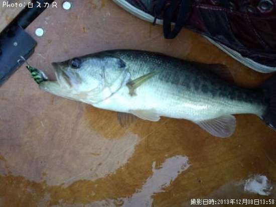 �顼���ޥ����Х�