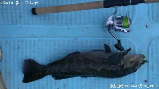 �����ʥ�