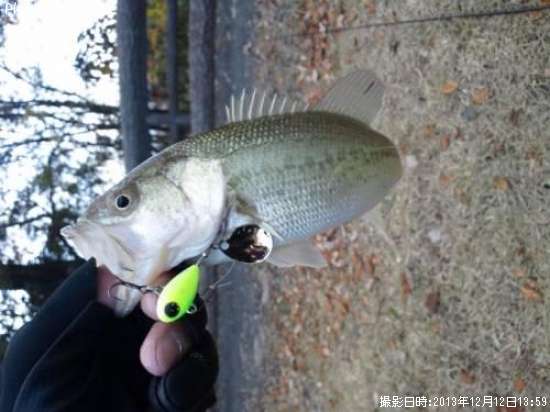 �֥�å��Х�