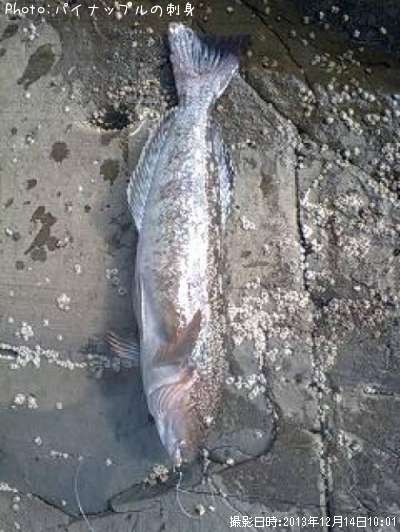 �����ʥ�