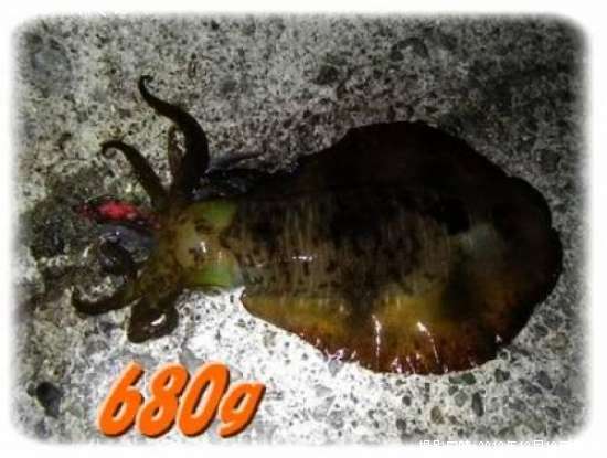 �����ꥤ��