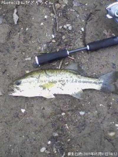 �֥�å��Х�