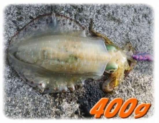 �����ꥤ��