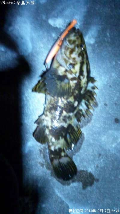 �٥å�������