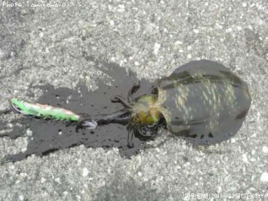 �����ꥤ��