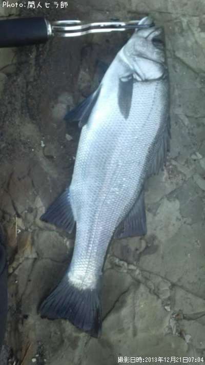 �ҥ饹����