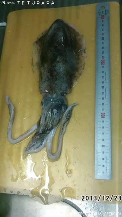 �����ꥤ��