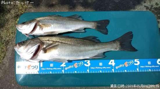 �ݥ�����