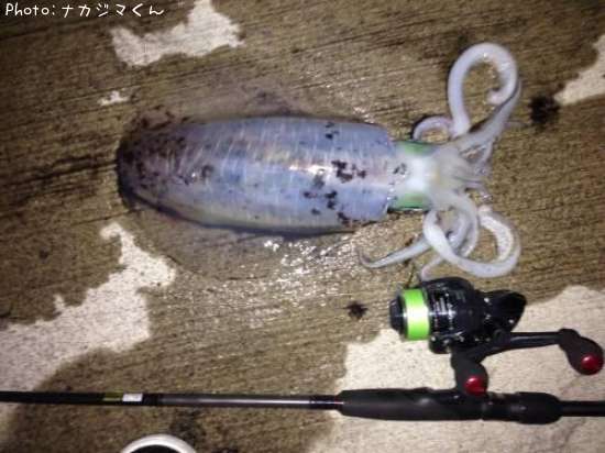 �����ꥤ��