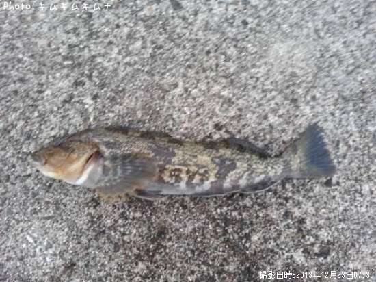 �����ʥ�