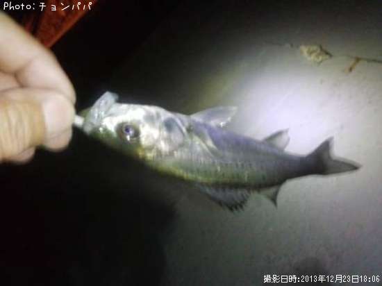 �����Х����ߥ�