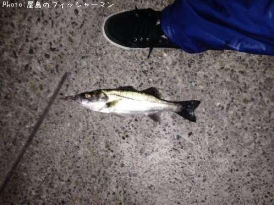 �����Х�