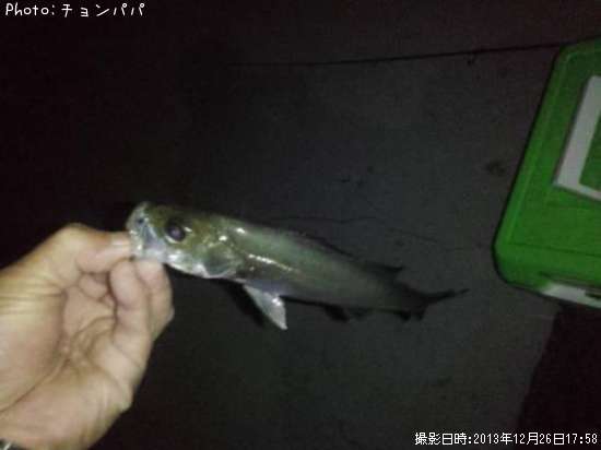 �����Х����ߥ�