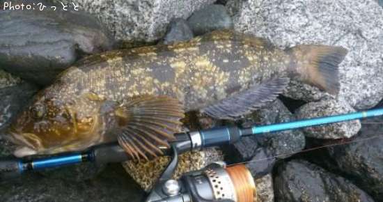 �����ʥ�