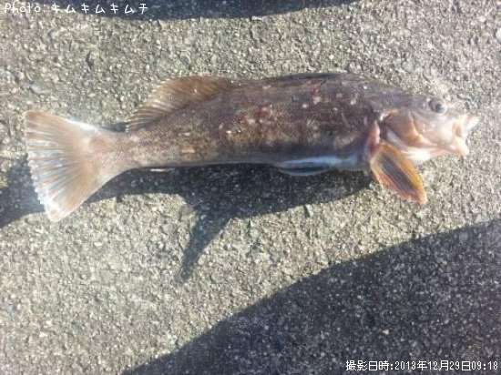 �����ʥ�