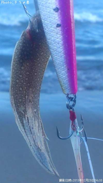 ��ʿ���յ�