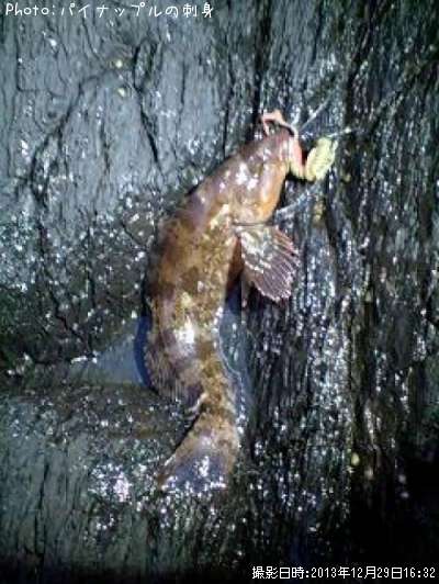 �����ʥ�