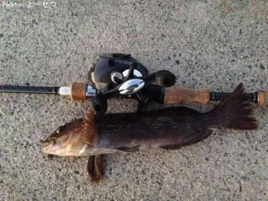 �����ʥ�