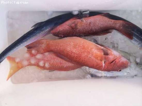 �ϡ�����